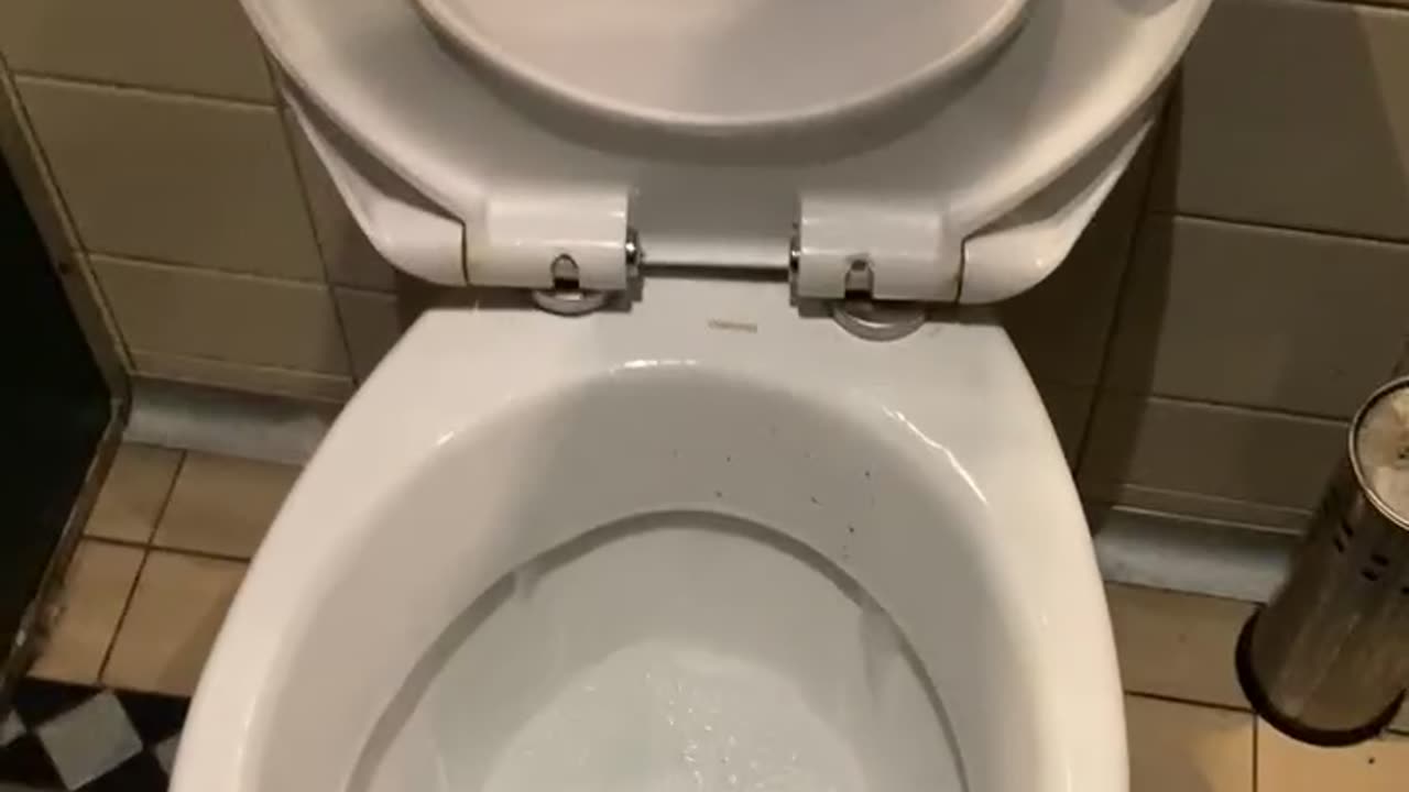 The longest flush in World history. Legend has it, its been running since 1969 🤪😂