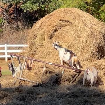 15 minute break is over. Time to get back to WORK!!!