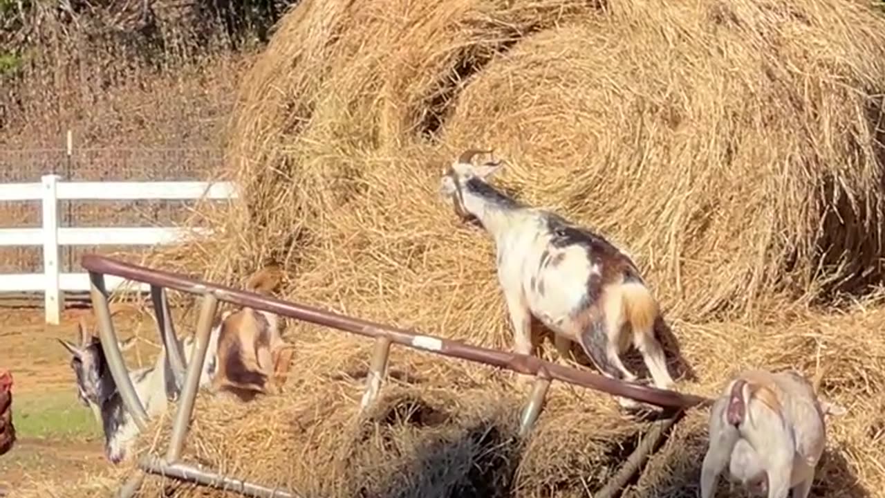 15 minute break is over. Time to get back to WORK!!!