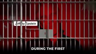 Whitney Webb: “Trump Will Go NUTS When He Realizes Who's In Epstein's Story…”