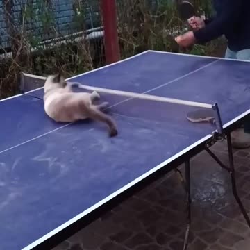 Awesome ping pong skills 😂