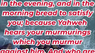 “The Lord Hears Your Complaints” exodus 16:8.#shortvideo #youtubeshorts #shorts #ytshorts #youtube