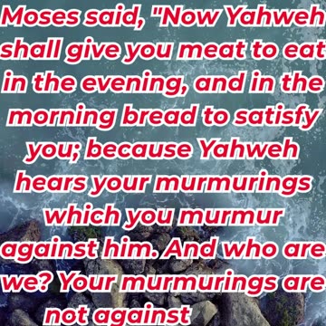 “The Lord Hears Your Complaints” exodus 16:8.#shortvideo #youtubeshorts #shorts #ytshorts #youtube