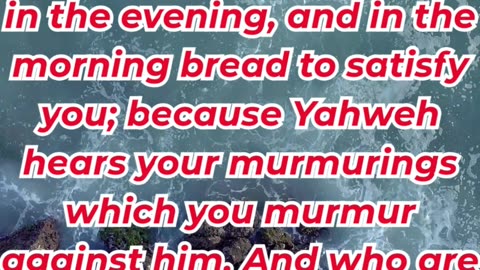 “The Lord Hears Your Complaints” exodus 16:8.#shortvideo #youtubeshorts #shorts #ytshorts #youtube