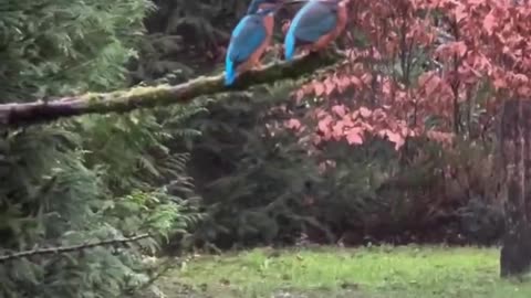 Ok she's still angry.. 🐦😂