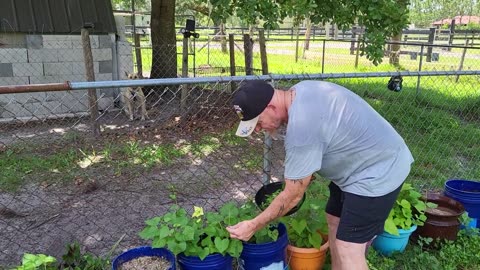 #Foraging free food.