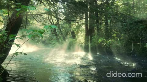 jogando no bicho certo completo 1.mp4