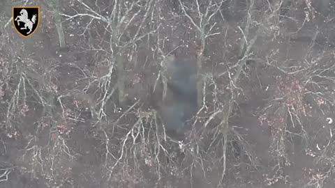 Ukrainian Scouts Causing Chaos Behind Russian Lines