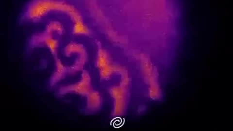 New footage of the moment life begins.