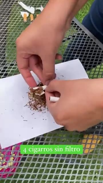 🚬 INSECTICIDA Casero de TABACO