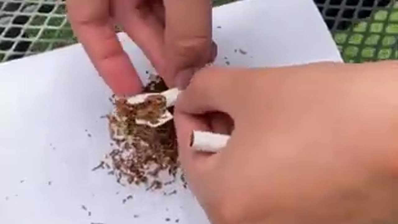 🚬 INSECTICIDA Casero de TABACO