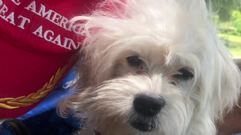 Patriot Loulou news MAGA Loulou ran into Macrons wife and saw the evidence 😳etc etc