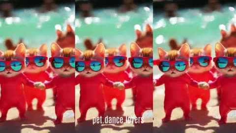 Cat videos funny dance 🐾️💃😃Videos