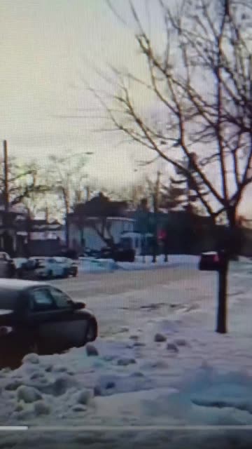 Ice shoots protester trying to run over ice agents