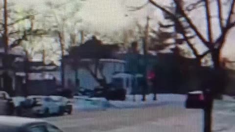 Ice shoots protester trying to run over ice agents