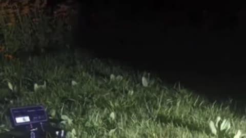 🤯✨ This Laser Mosquito Trap Is Mind-Blowing! | FeedMyCuriosity