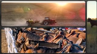 Trent Loos in the Morning - 2/11/2026