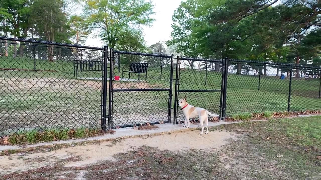 That Just Scares The Hell Out of Me