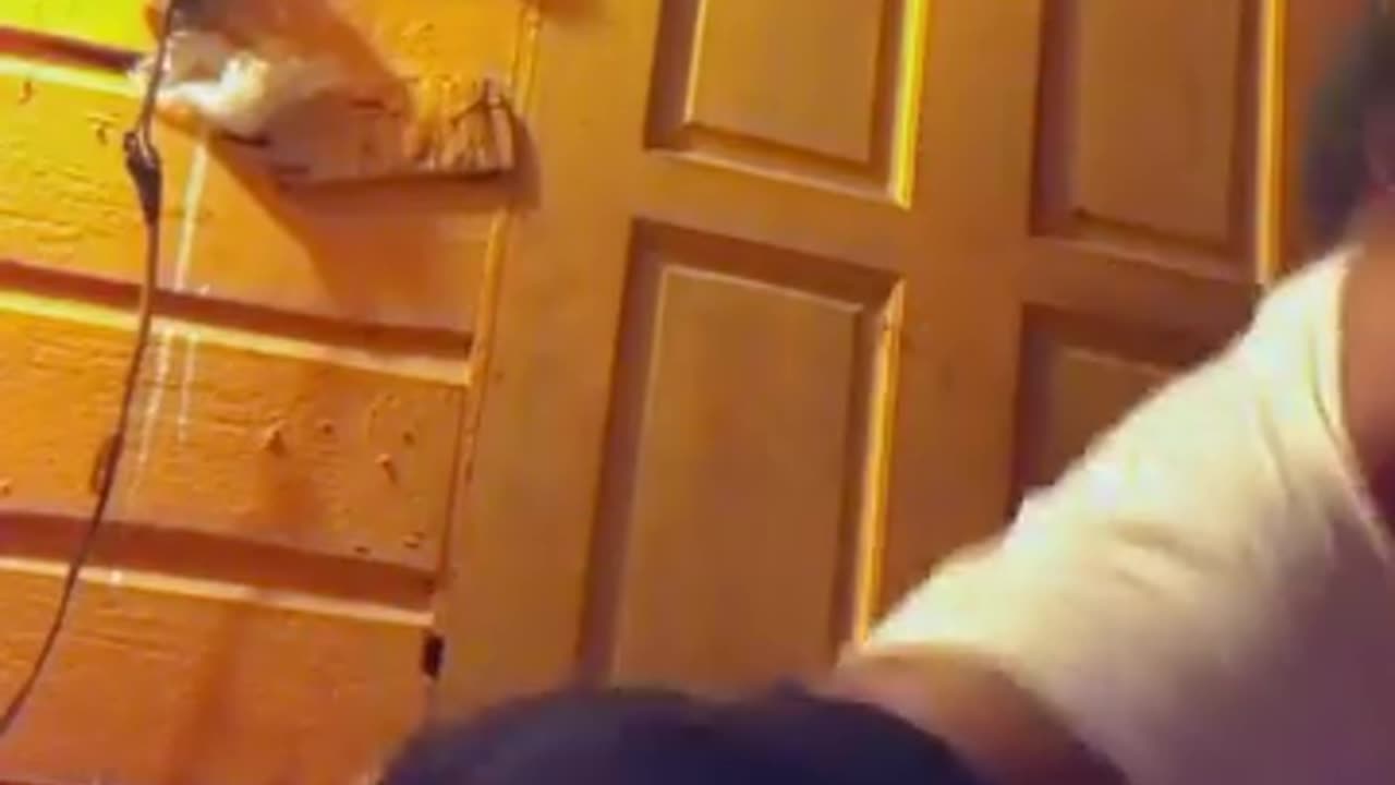 Madness of twerking.