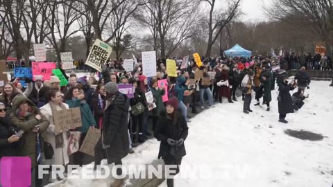 Thousands of protesters have descended on the Lincoln Memorial