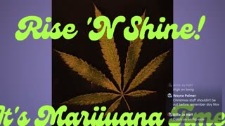 Rise ‘N Shine! It's Marijuana Time! Wake ‘N Bake Show Ep 354 November 1, 2025
