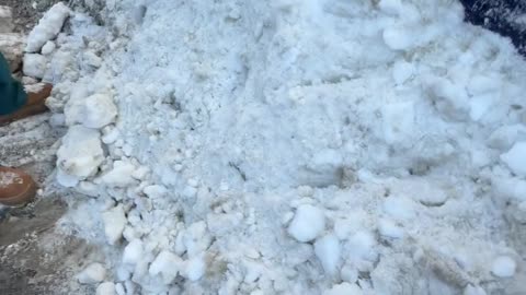 Should Have Shoveled When The Snow Was Soft