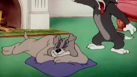 Tom & Jerry