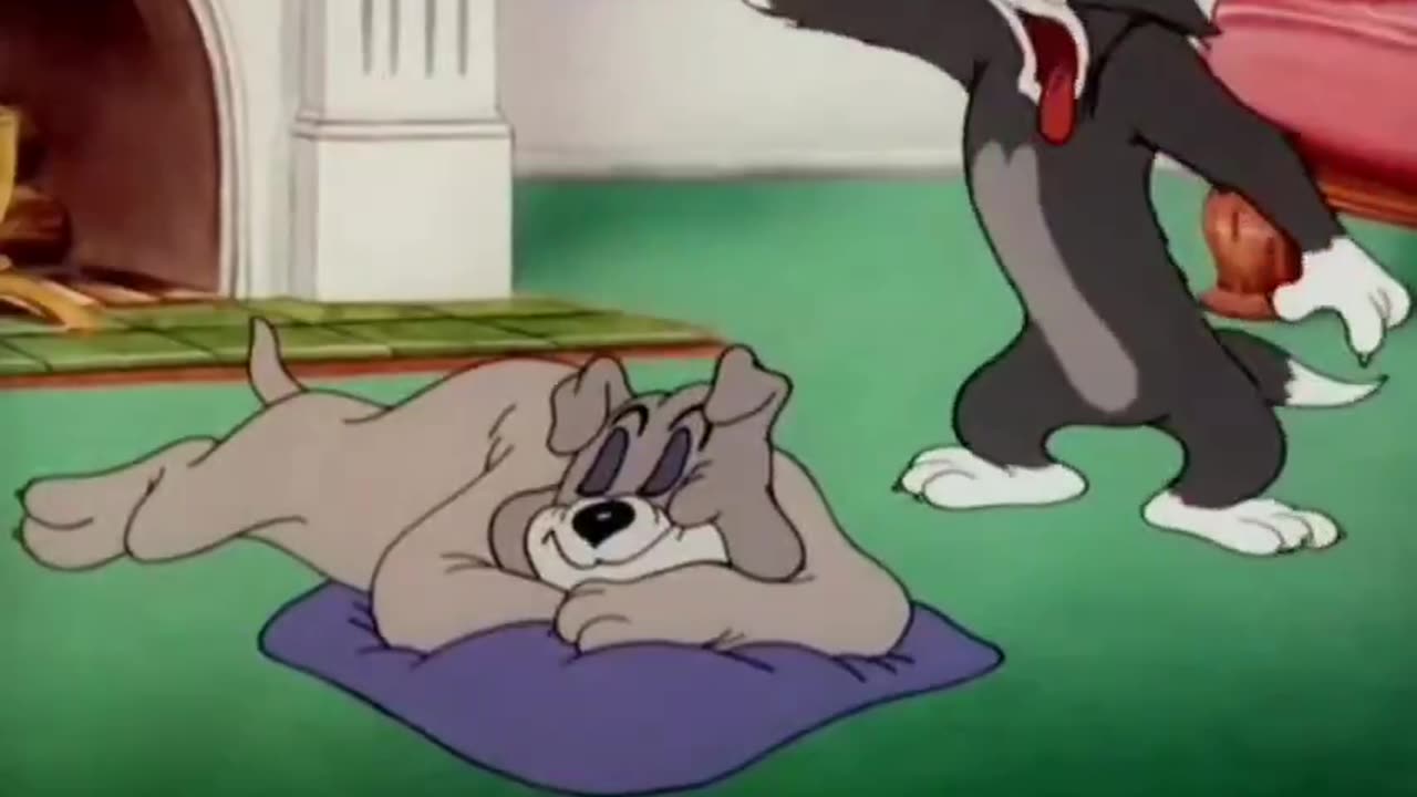 Tom & Jerry