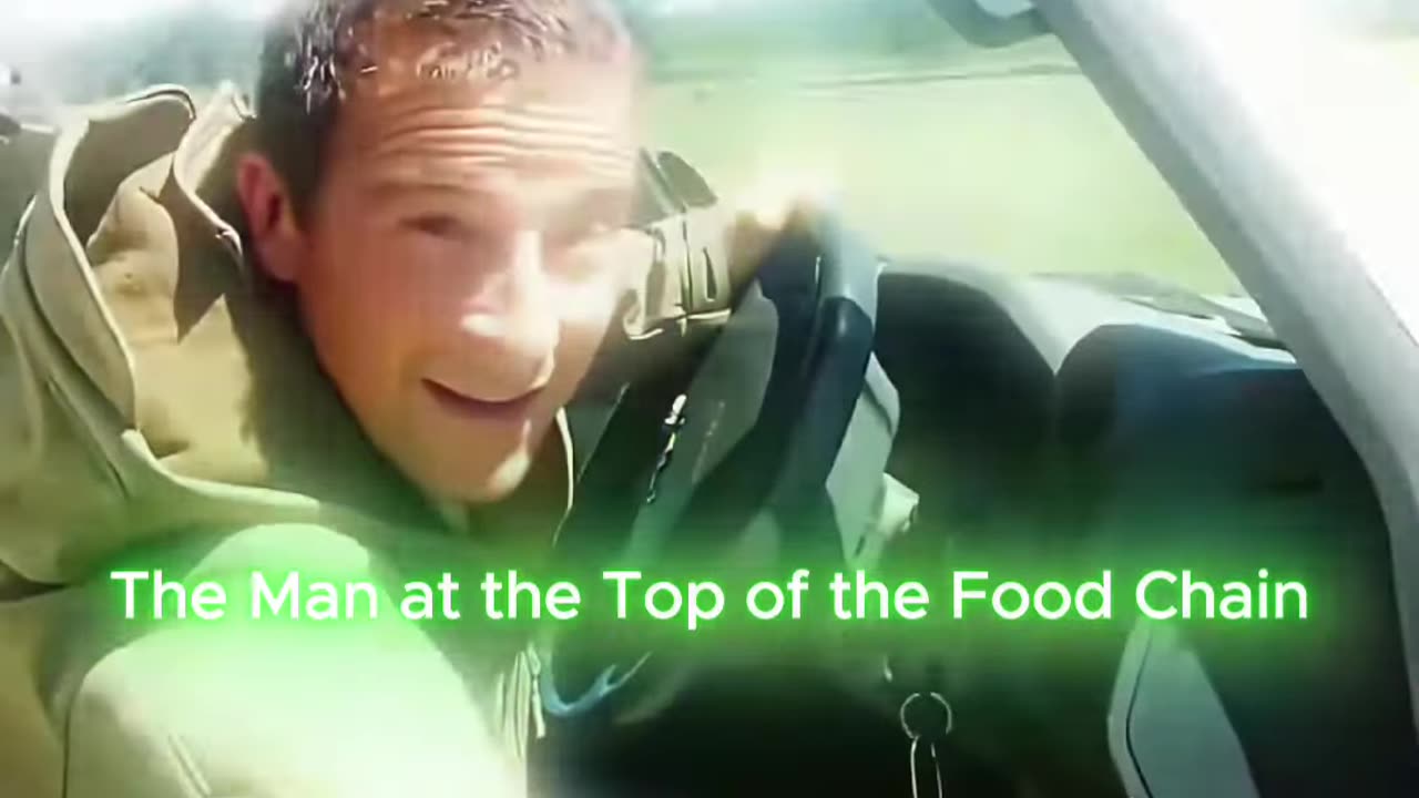 The Man at the Top of the Food Chain#beargrylls