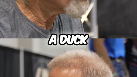 Animals' Plea - Dog & Cat's Secret to Peace