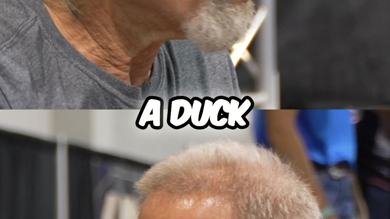 Animals' Plea - Dog & Cat's Secret to Peace