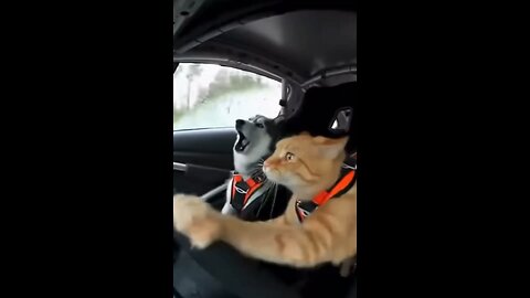 When You just don’t want to listen….