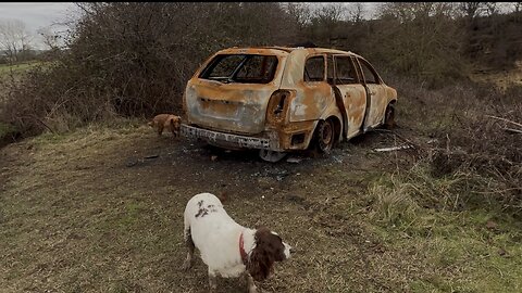 24/12/25 trail run with molly and willow