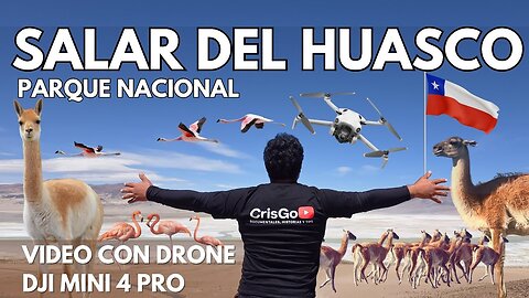 Descubre el Salar del Huasco | Un viaje al corazón del altiplano chileno