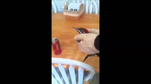 Pecker Head (Andrew Blaze - Randy Stair)