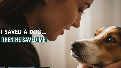 I Saved a Dog — Then Found Out He Saved Me First