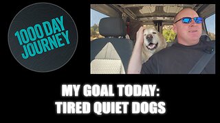 1000 Day Journey 0812 My Goal Today: Tired, Quiet Dogs