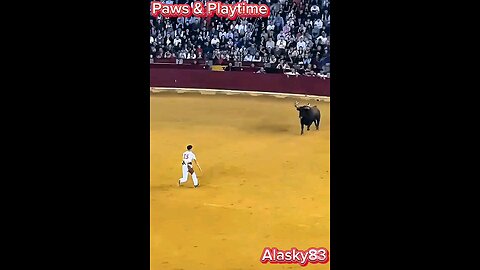 SOMERSAULTING OVER A BULL IS AMAZING 😳😳😳😳