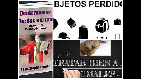 Deut 2ª Ley DISCURSO 6 Cap 4-5: COSAS PERDIDAS Y ENCONTRADAS/TRATAR BIEN A ANIMALES, Stephen Jones