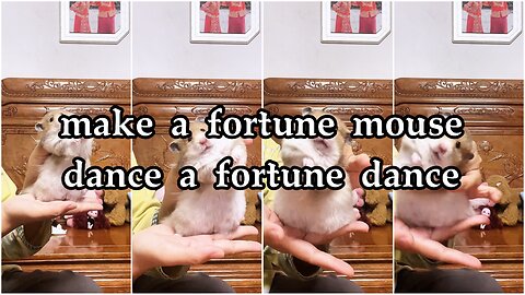 make a fortune mouse dance a fortune dance