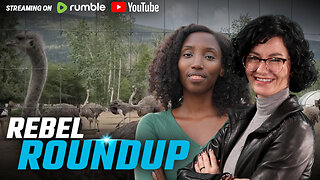 Rebels return to BC ostrich farm, CBC laughs at Antifa assault on Alexa Lavoie | Rebel Roundtable