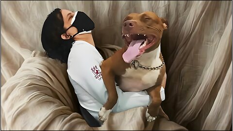 Dogs 🐾 Can't Stop Being DRAMATIC 😂 With Their Owners – Funny Dog vs Human Videos 🐶💥