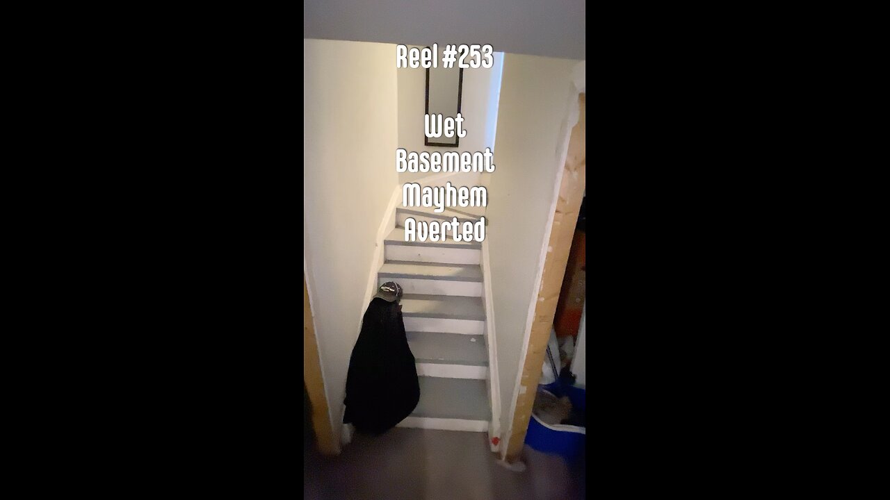 Reel #253 Wet Basement Mayhem Averted