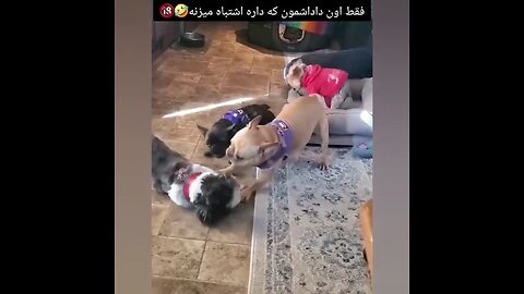 🤣😆😁فقط اون داداشمون که داره اشتباه میزنه