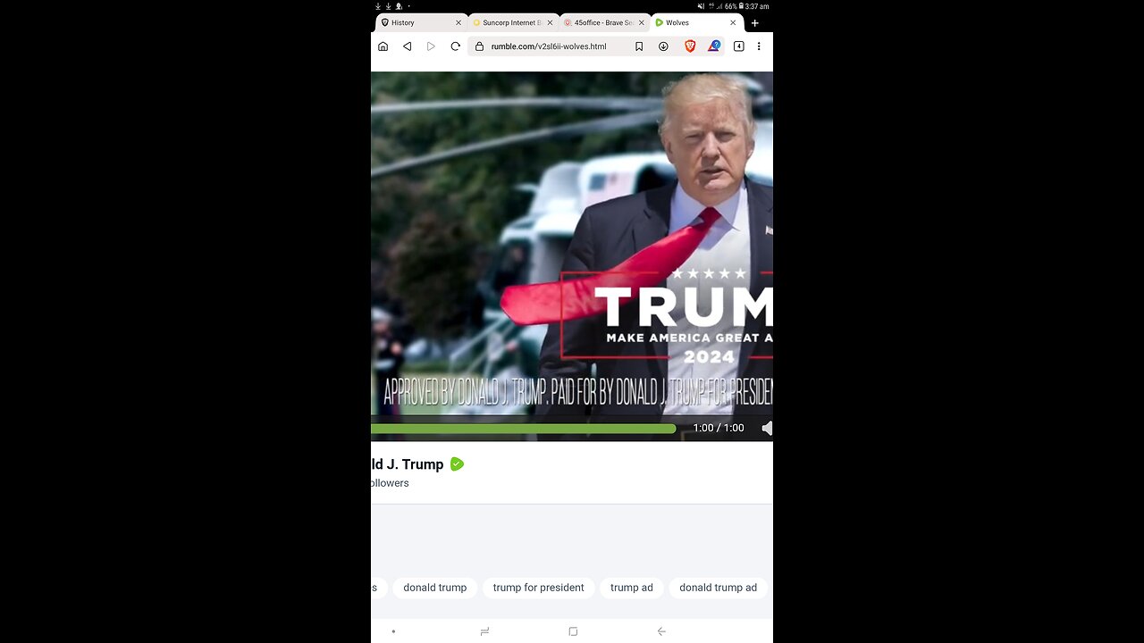 Yay⚡😀😁🌻🦎