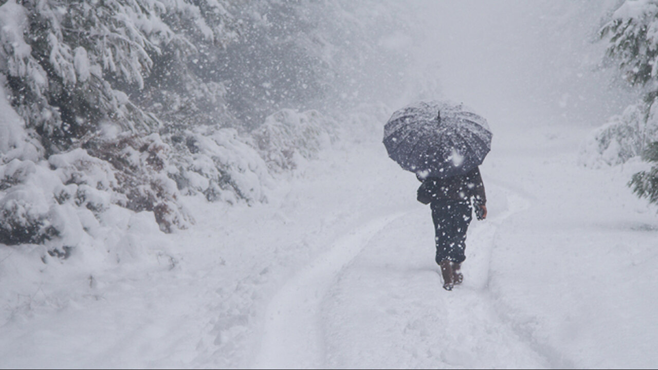 Extreme Man-Made Winter Storm brings Snow To Florida! It's Called Geoengineering! 🆘