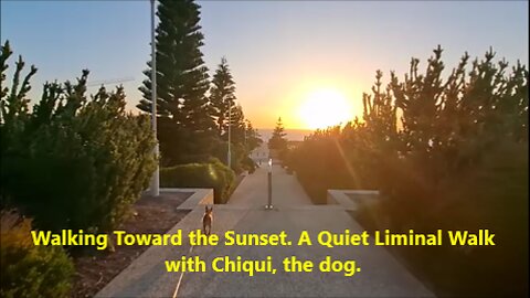 Walking Toward the Sunset. A Quiet Liminal Walk with Chiqui, the dog.