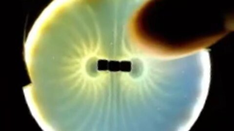 MAGNETIC Fields visible to the eye