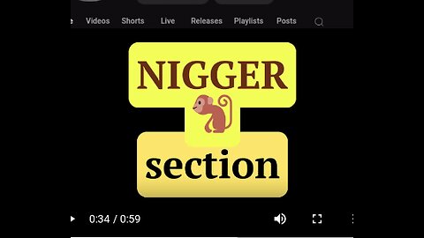 The Google nigger section