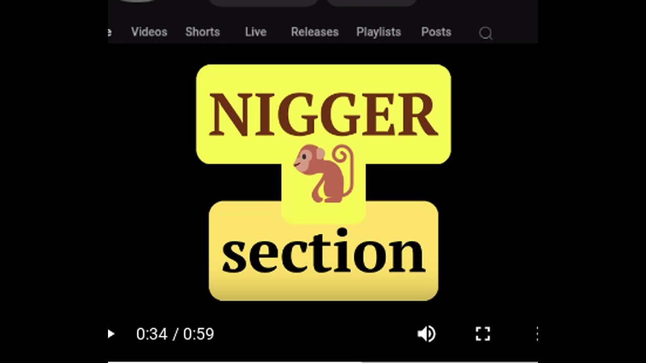 The Google nigger section